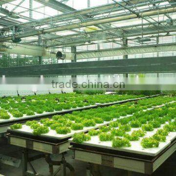 ECO-FRIENDLY greening no need fertilizer easy to input seed dibble holes hydroponic planting sponge