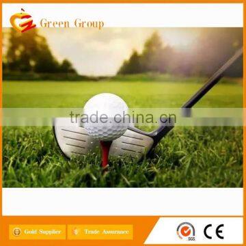2017 Custom All Kinds of Logo Golf Ball photo-6