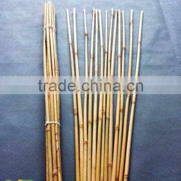 Dyed Various Colors Bamboo Flower Sticks for Home&garden photo-3