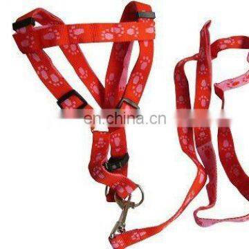dog leash