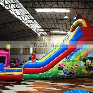 Outdoor Playground Mouse Park Inflatable Pool Slide For Kids Amusement Park photo-4