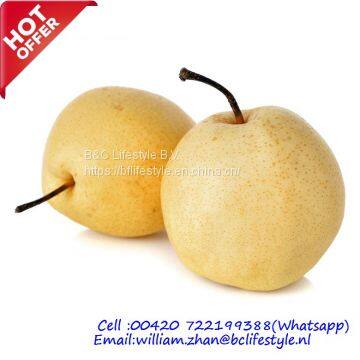 Nashi Pears