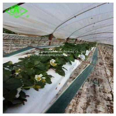 Best Sale UV Protection Greenhouse Black/White Plastic Mulch Film photo-2