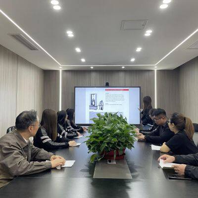 Qualified Casting Furnace Front Online Iron Alloy Carbon Silicon Analyzer photo-6