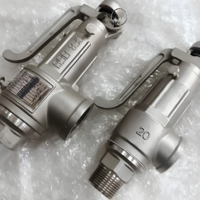 Spring Fully Open Safety Valve Stainless Steel High-temperature Steam Pressure Relief Valve photo-4