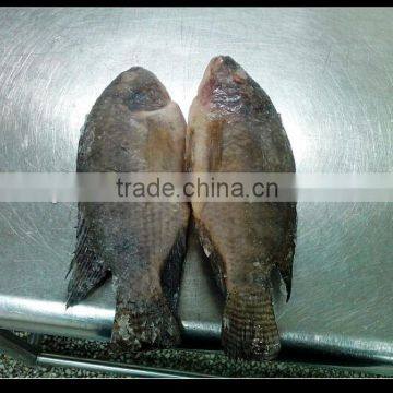 Good quality FROZEN Tilapia WGGS with spread pepper