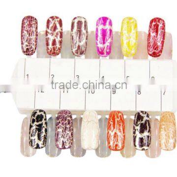 www.auparisnailart.com;Hot Sell Tools; Nail Care Professional Cracking Polish CNP-2