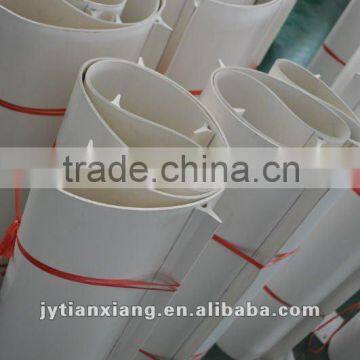 Light Conveyor Belt photo-6