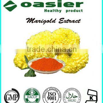 100% Natural Marigold Extract Lutein