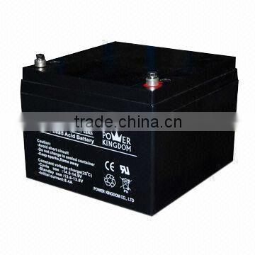 high rate 12V28AH sla battery UPS Battery