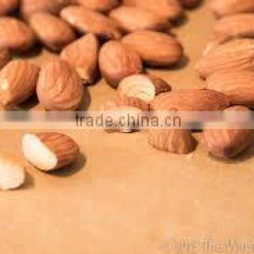 Cashew Nuts,Pistachio Nuts,Walnuts, Almond Nuts Available for Sale photo-3