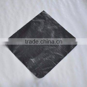 PP Anti Grass Cloth