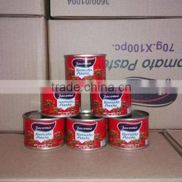 70gram Size Canned Tomato Paste for East Europe