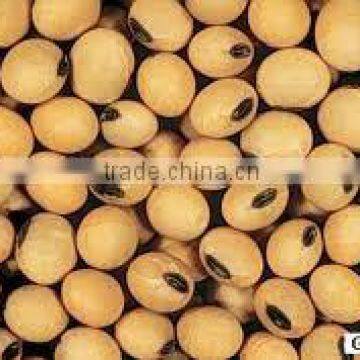 Food Grade Soy Bean Oil photo-4