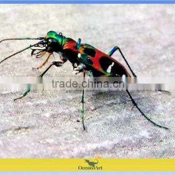 Insects Fiberglass Sculpture for Decoration photo-2