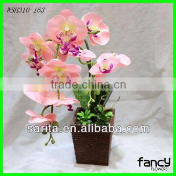 quality potted artificial butterfly orchids with 2 heads                        
                                                Quality Choice