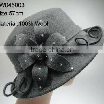 Fashion ladies hats