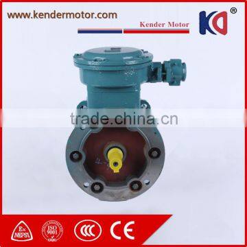 Cast Iron Explosion Proof Asynchronous Motor With CE Certificate