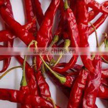 High Quality Cheap Natural Red chilli