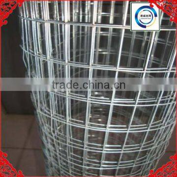 1/4 inch Galvanized Welded Wire Mesh