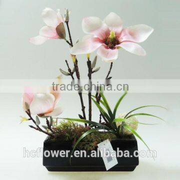 pink color cymbidium for wedding decoration