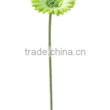 PU flower - Gerbera Jamesonii