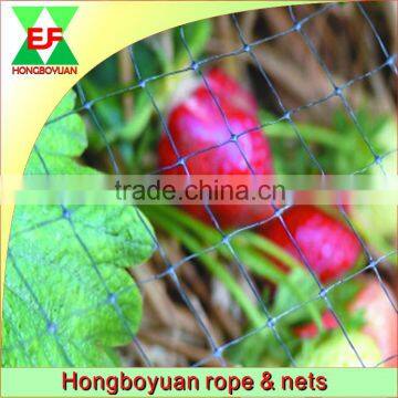 wholesale high quality China agricultural plastic net hdpe bird capture net