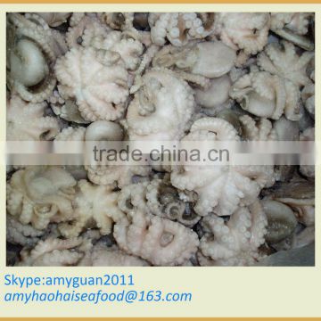 Frozen Octopus whole round flower shape IQF