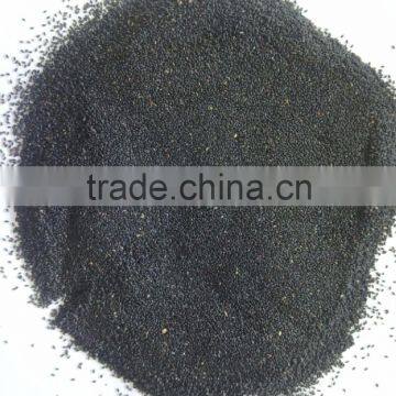 'Genovese' Basil photo-4