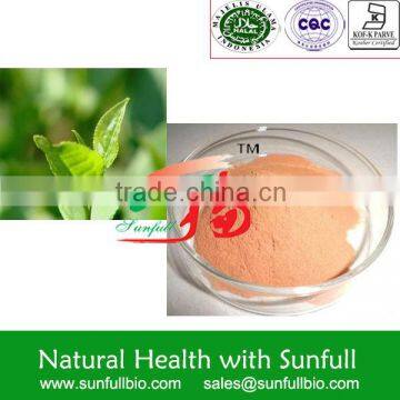 Supply 100% natural Green Tea Extract 45% EGCG