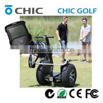 2016 NEW Product CHIC GOLF Gas Scooter Stand up photo-2