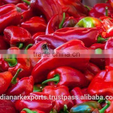 Capsicum Oleoresin 3.3 %, 6.6%, 10%, 30%, 40%, 60% - 80%