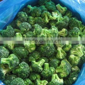 Common freeze broccoli with high quality