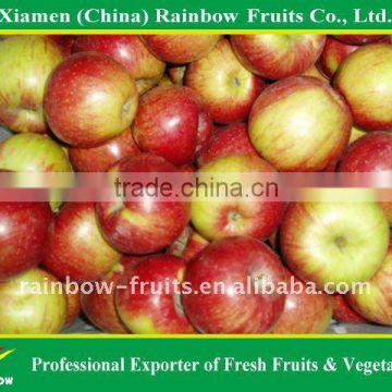 Class 1 Jiguan Apple