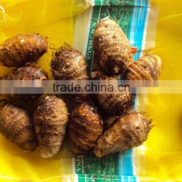 Exporter of Taro