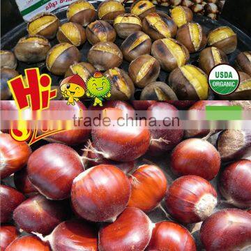 Bulk chinese chestnuts for sale