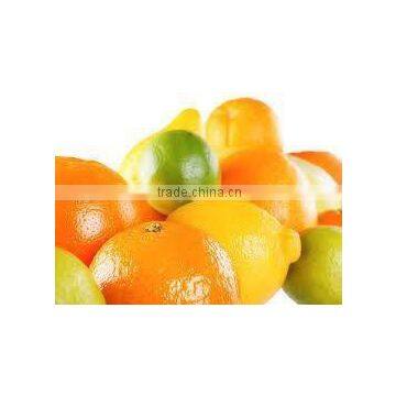 Citrus Fruits ( lemon - Orange - Mandarin )