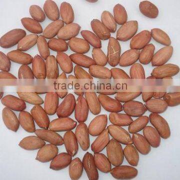 raw peanut kernels