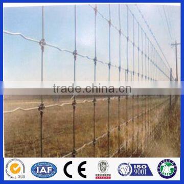 SGS/BV/ISO certificate galvanized Grassland fence/Field fence