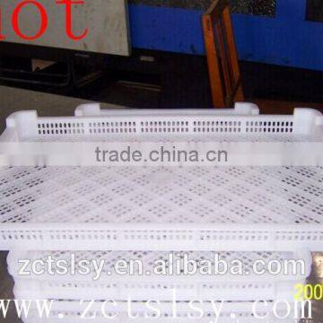 the small type PE material plastic freezer tray for kebab and seafood