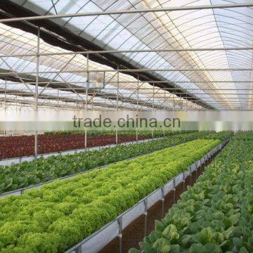 Greenhouse for Agriculture Hydroponics photo-2