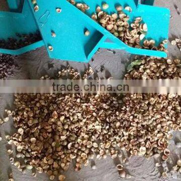Good Design Camellia Fruit Peeling Machine in Stock photo-6
