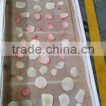 New Design Microwave Vacuum Dryer for Peach Slice photo-3