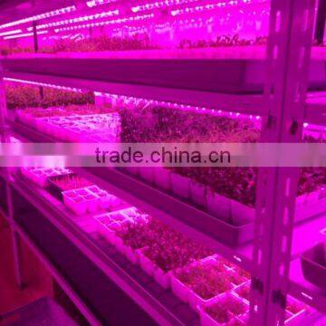 Professional Indoor Container Grow Systems, 30w 1200mm Waterproof LED Grow Bar for Leafgreen & Herb photo-3