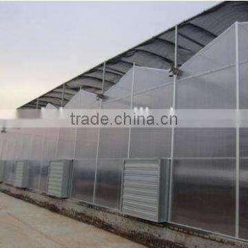 Greenhouse for strawberry grape raspberry , Agricultural Green houses