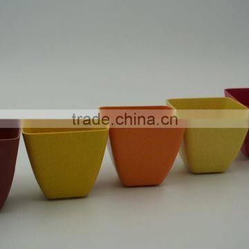 Square Biodegradable Flower Pot photo-4