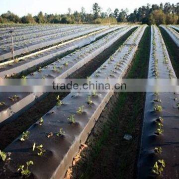 PP Weed Mat With Ground Nail photo-5