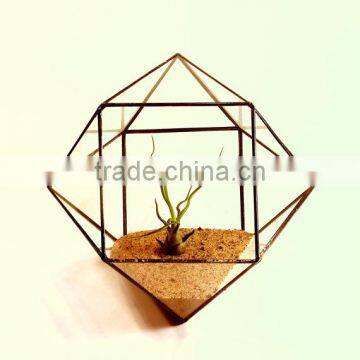 Minimalistic Decor Cuboctahedron Geometric Terrarium