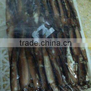 Under 150g Frozen Illex Squid for Sale photo-2