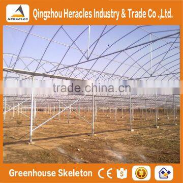 Heracles Economical Plastic Commercial Low Cost Multi Span Plastic Greenhouses With Automatic Irrigation System photo-5